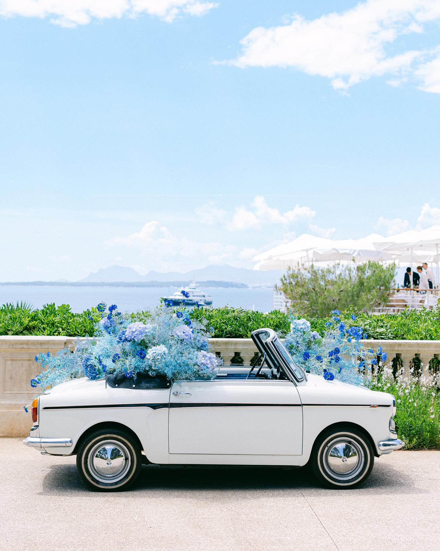 Chloe Reed Photography