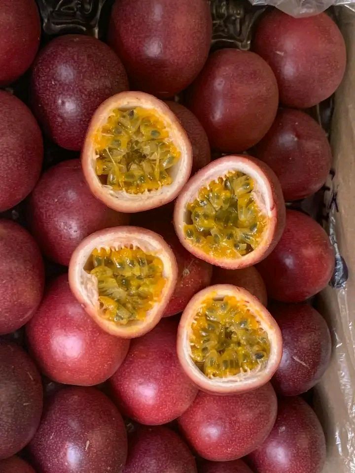 KENYA PASSION FRUIT FARMER'S 🌱 ️🇰🇪 for certified seedling cal0792280240 ...