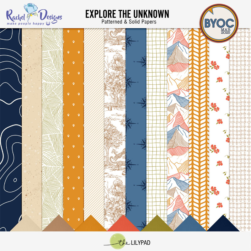 Racheletrogdesigns
