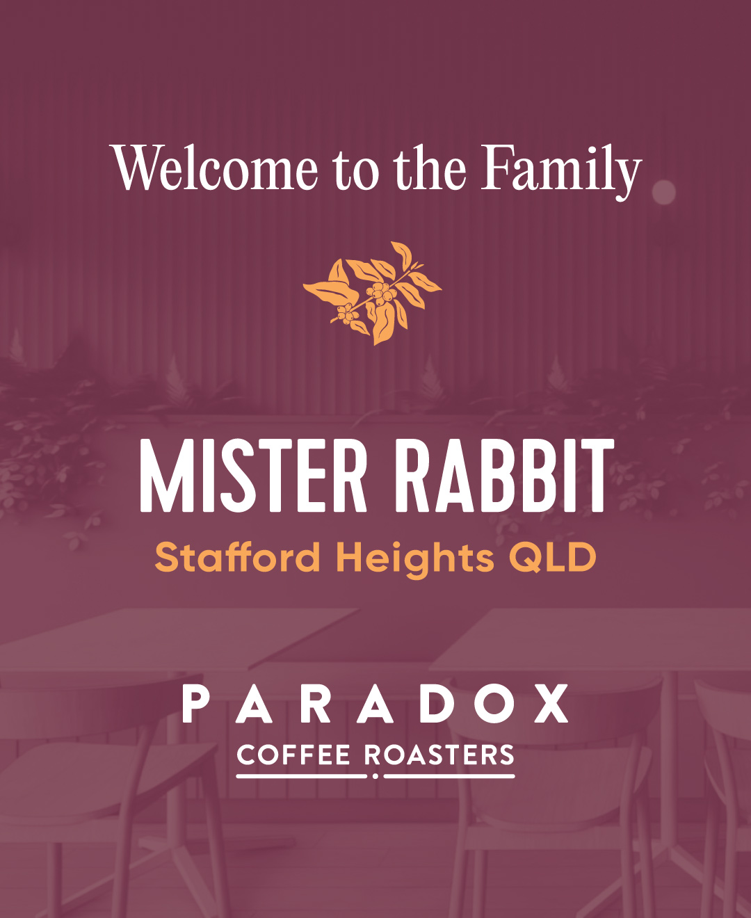 Paradox - Welcome to the Paradox Family, Mister Rabbit! We’re excited ...