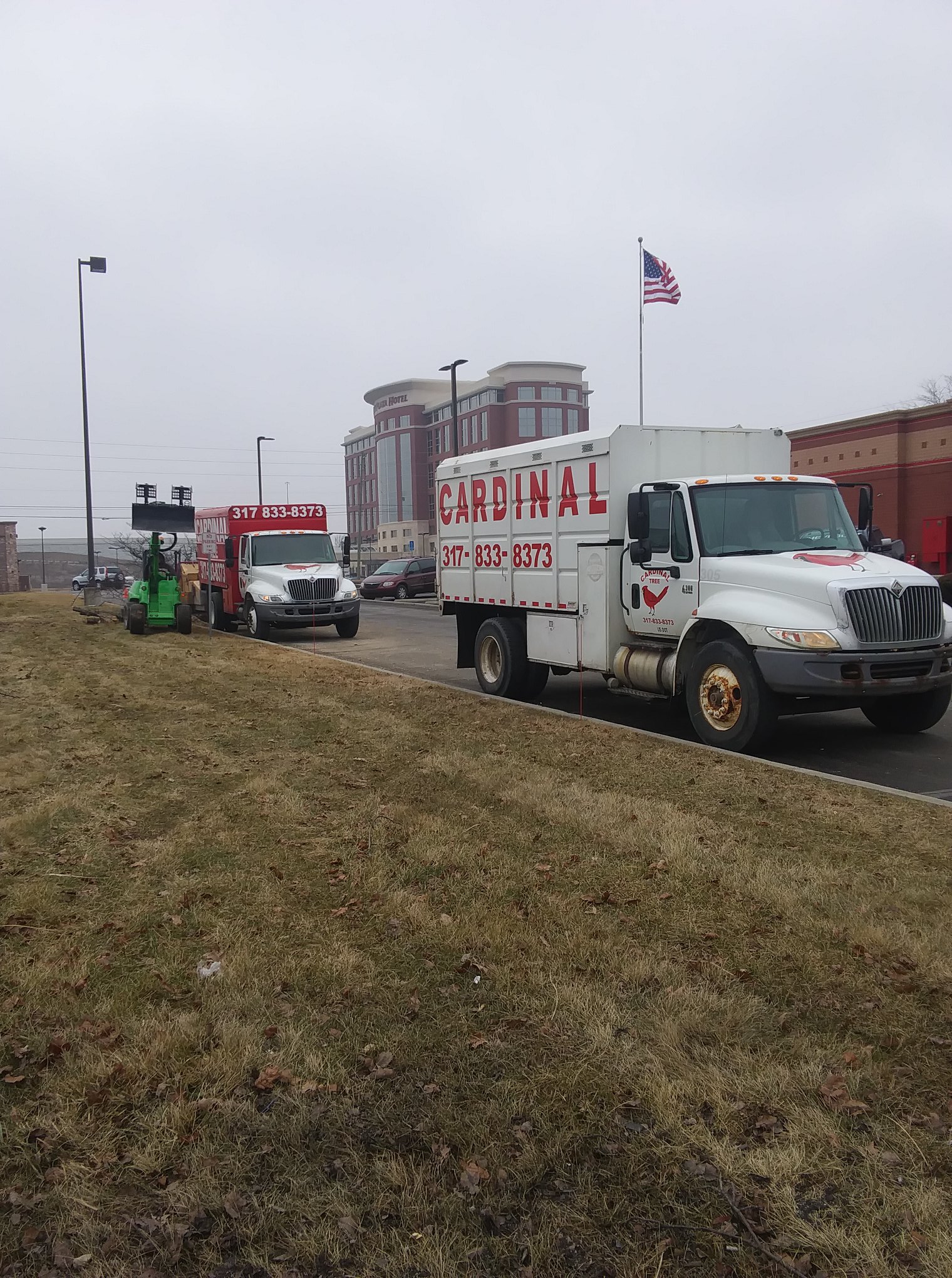 Cardinal Tree Service & Landscaping