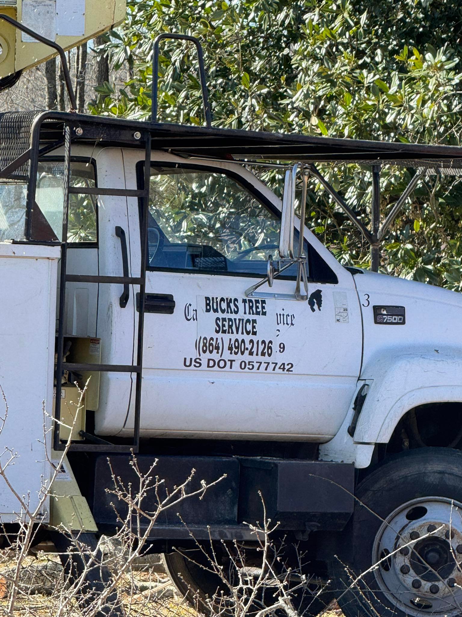 Bolin's Tree Service | Kings Mountain NC
