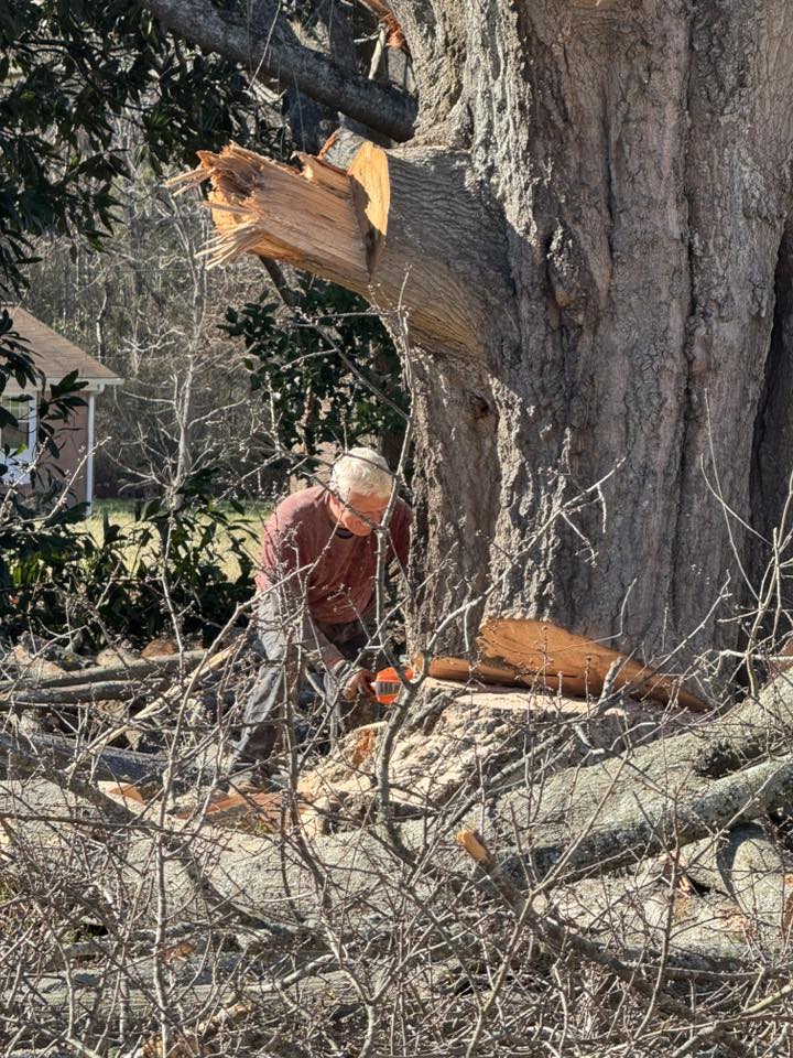 Bolin's Tree Service | Kings Mountain NC