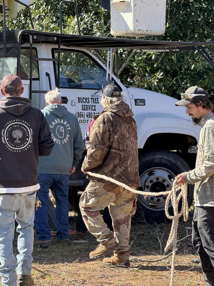 Bolin's Tree Service | Kings Mountain NC