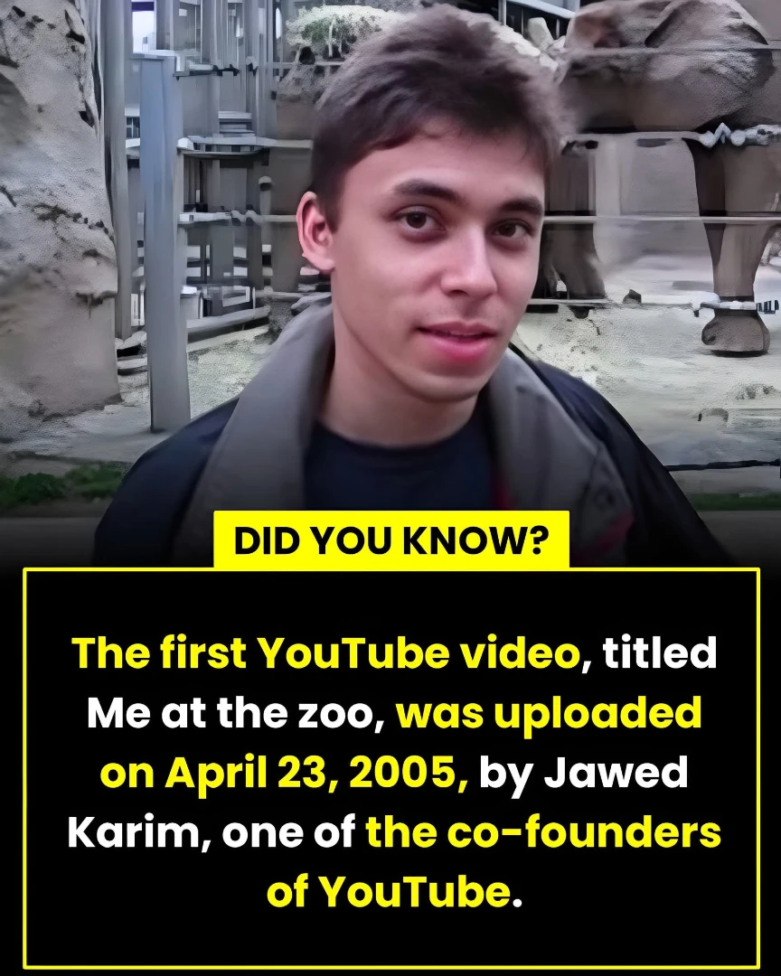Zoo - All About Zoos On April 23, 2005, 25 year old Jawed Karim posted ...