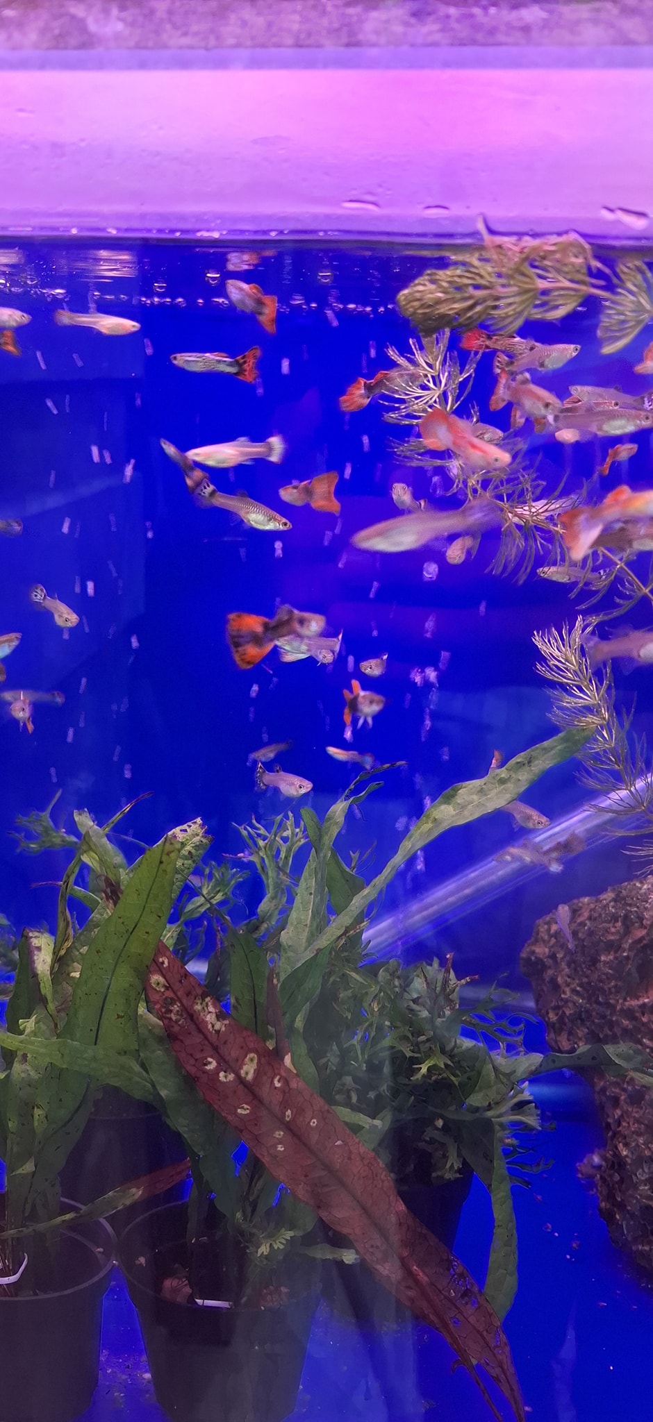 Hamza fish eleulma added a new photo. - Hamza fish eleulma