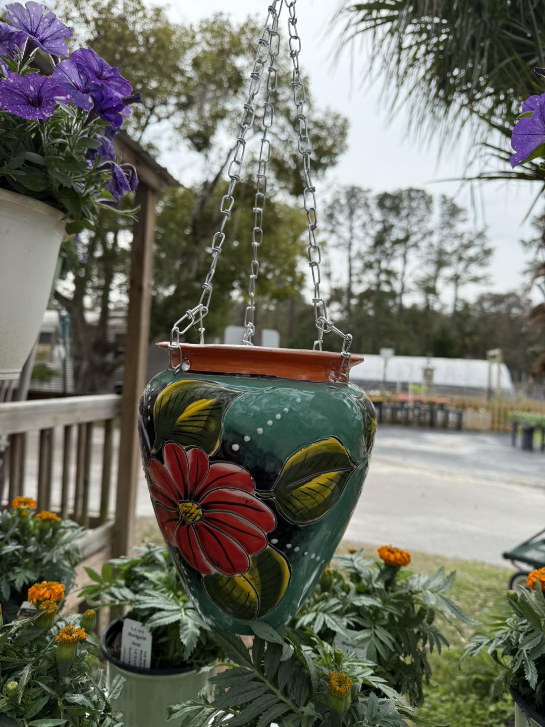 Anson Nursery | Lecanto FL