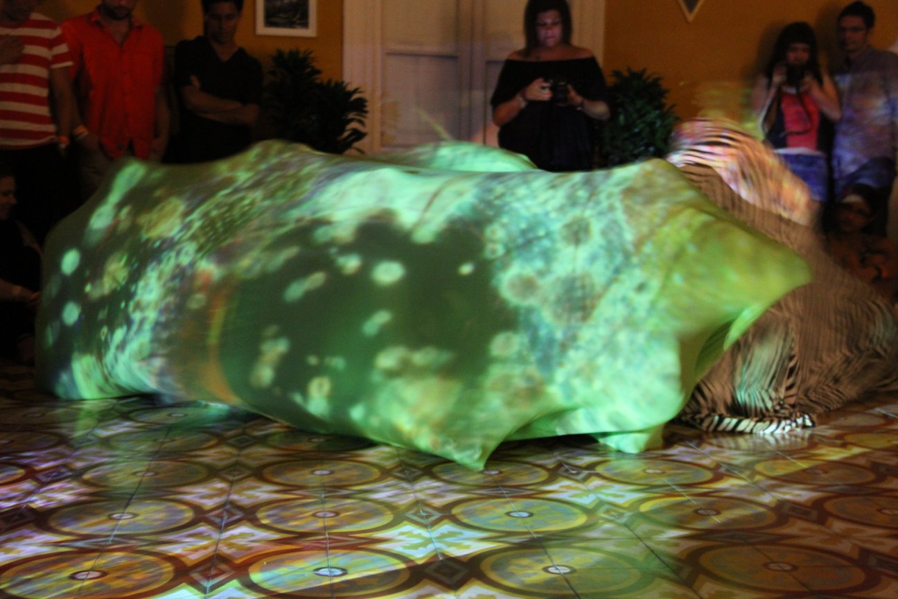 The Cocoon Project