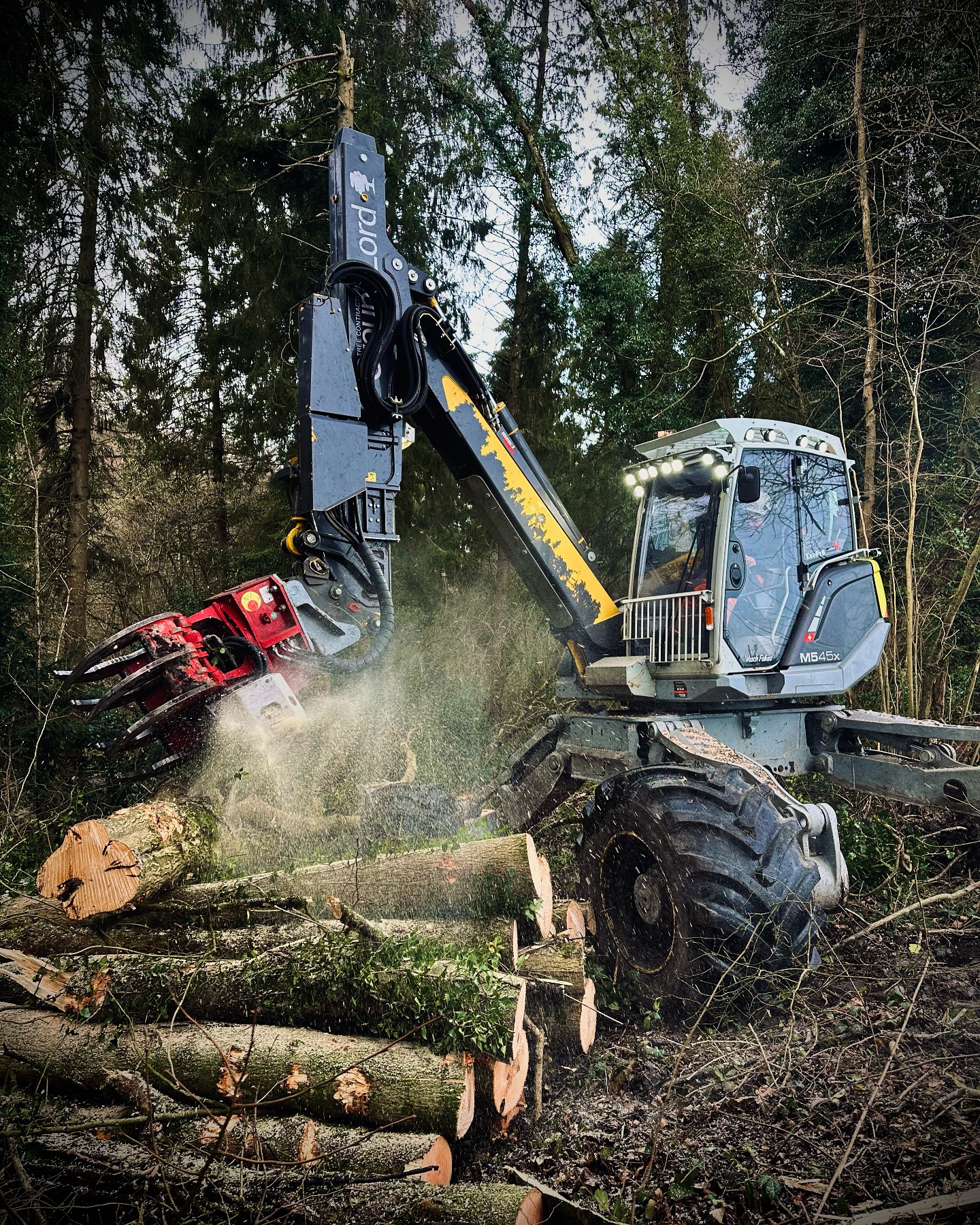 Groundlord - The menzi processing hardwood 🌳🪵🔥 #groundlord # ...