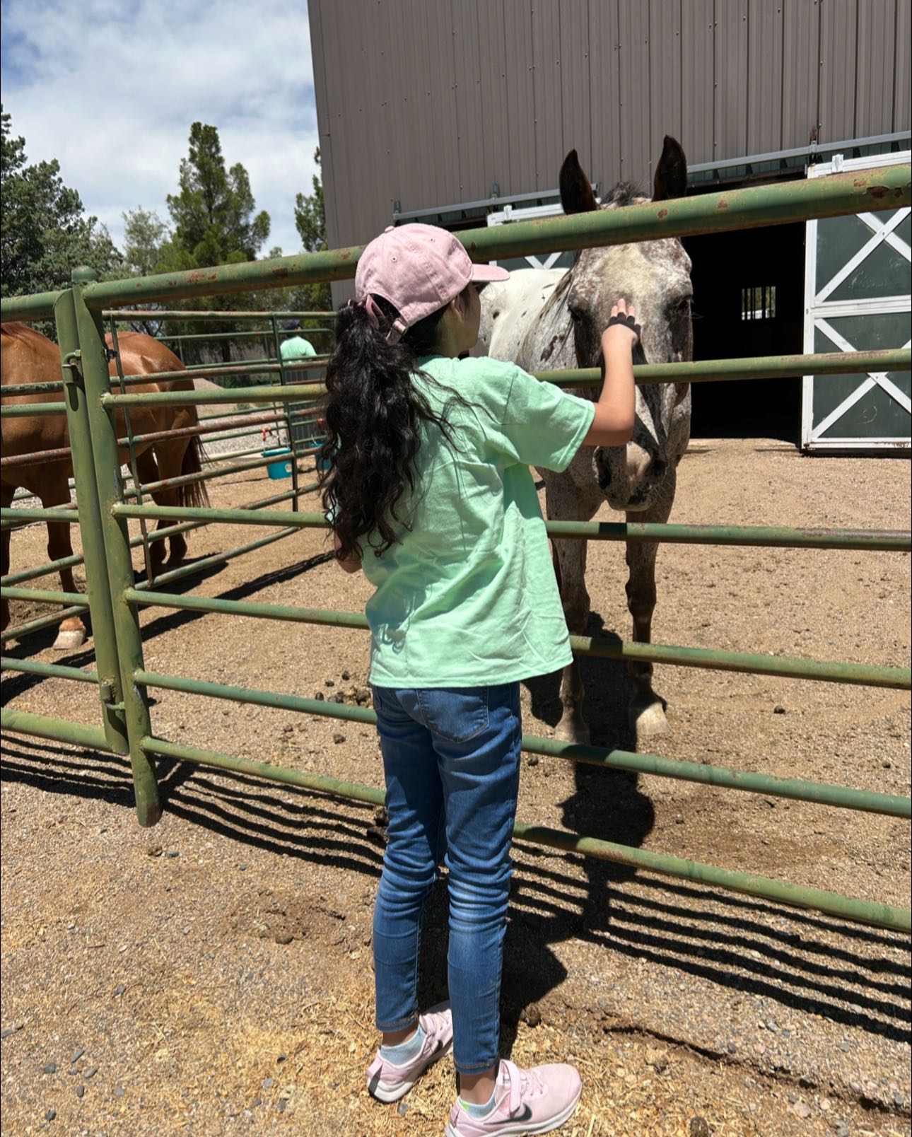 Robinson Ranch | Phoenix AZ