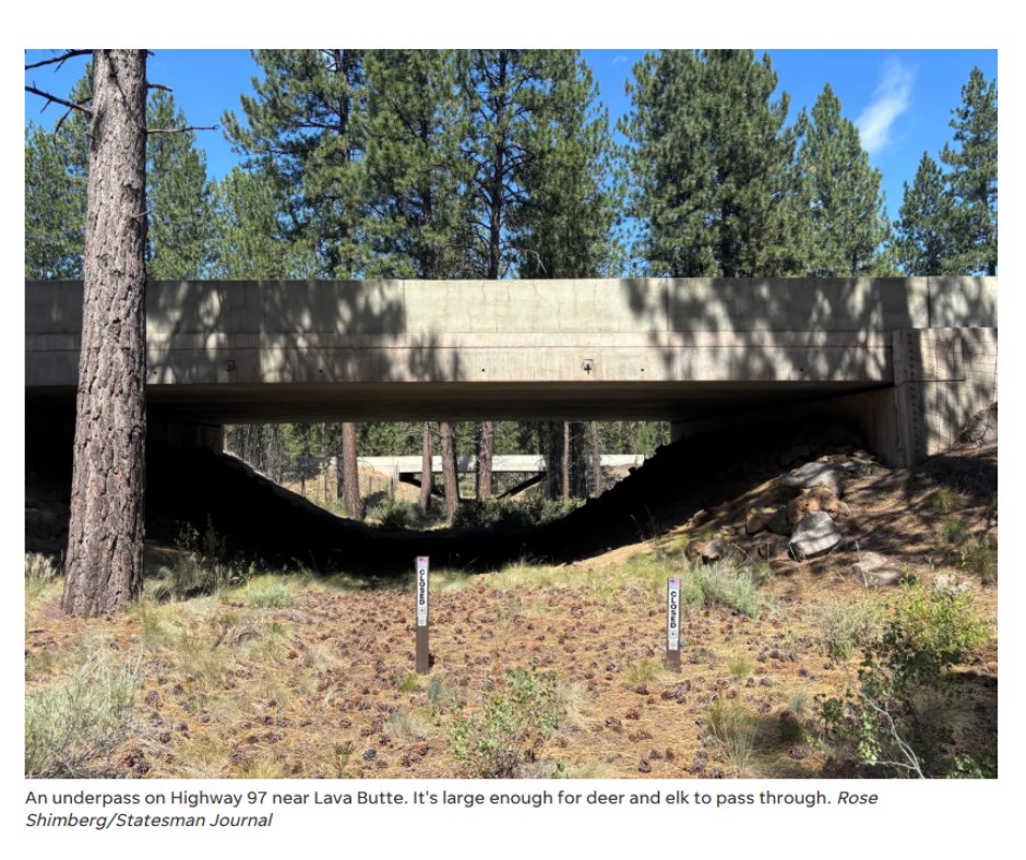 The Palensky Underpass is the 6th... - Ore-Cal RC&D Council | Facebook