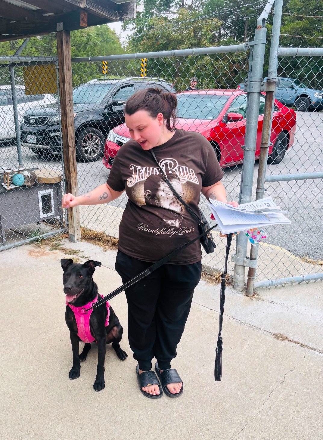 Taney County Animal Control