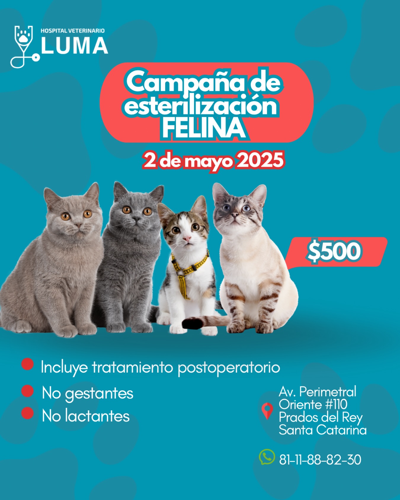 Luma - ¡Agenda abierta y lugares disponibles! 🐶😺. . 📆 2 de Mayo 2025 ‼️ ...