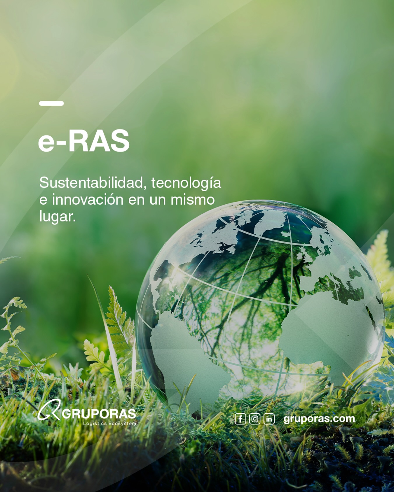 GRUPO RAS - 🌿 Sustentabilidad y tecnología en un solo lugar 🌿 La ...