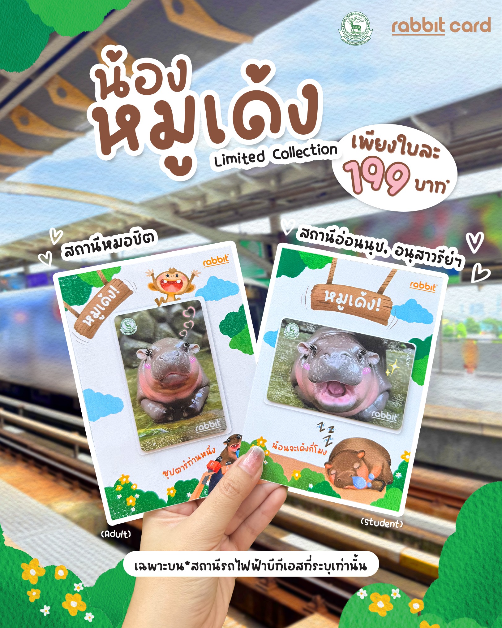 Rabbit Card - วิธีผูกบัตรแรบบิท กับ แรบบิท วอลเล็ท... | Facebook