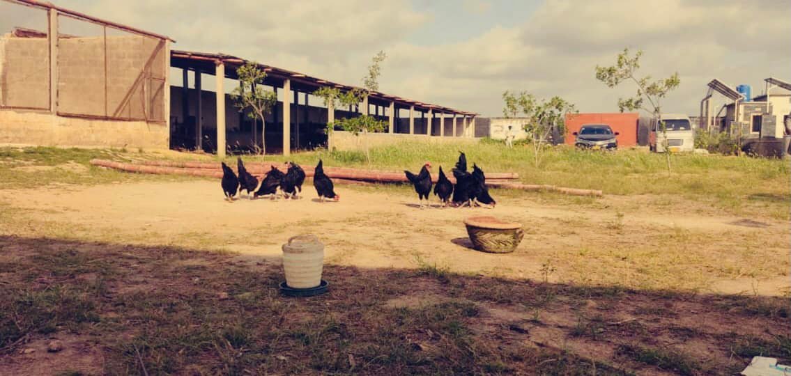 Raheem Modern Village. | Karachi