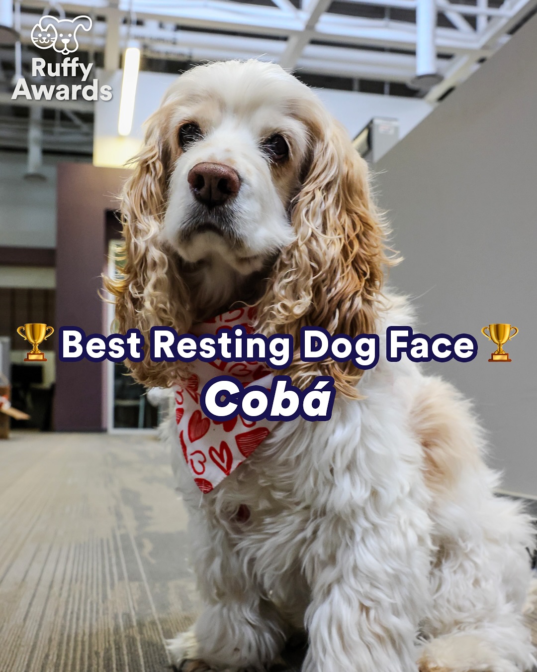 Petco - Petco added a new photo.