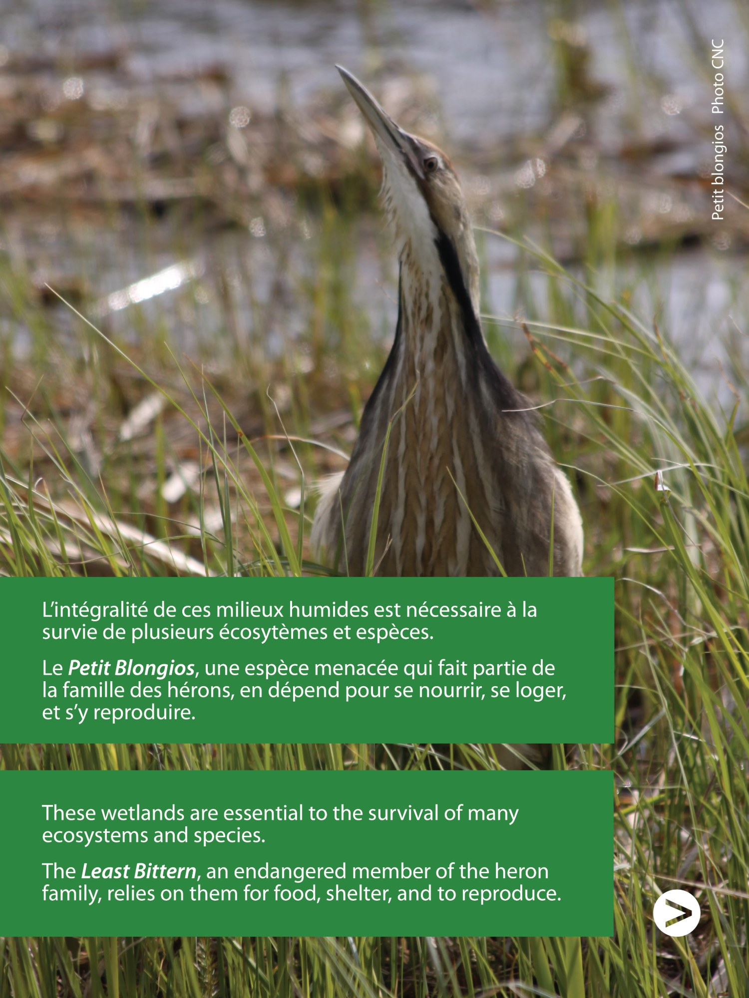 Nature Conservancy of Canada / Conservation de la nature Canada added a ...