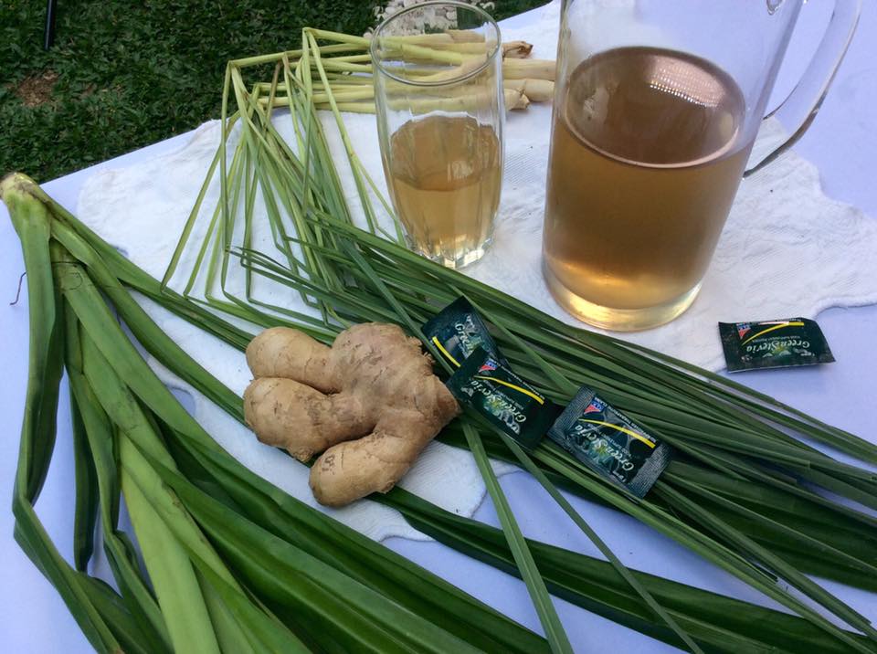 Rated - Ito ang ingredients: tanglad, pandan leaves, luya at stevia ...