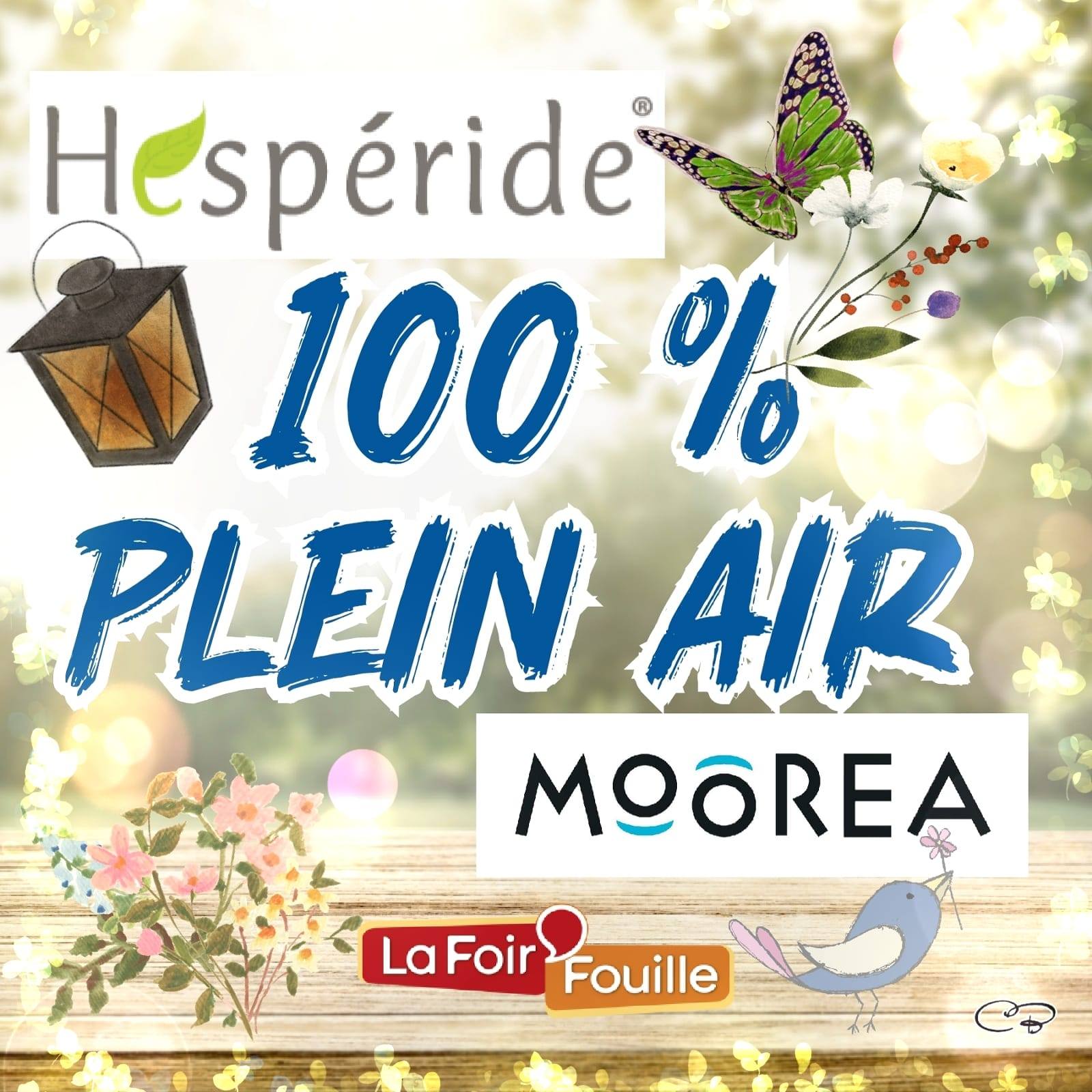 Sitemapcdatahttpsmixel Thicoipeinfotable Hesperide Foir Fouillenull