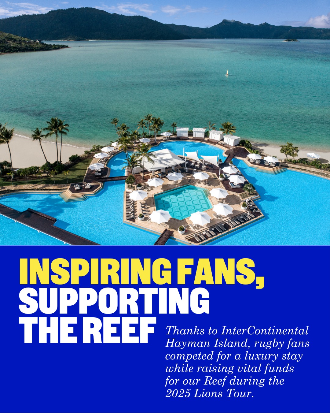 Protecting the magic of... - Great Barrier Reef Foundation | Facebook