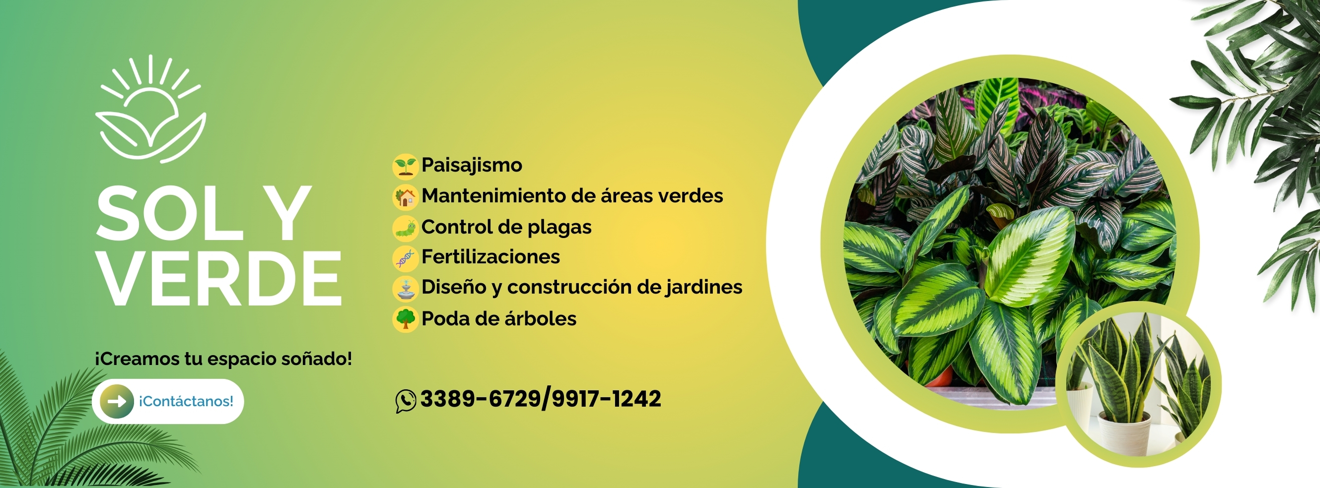 Sol Y Verde HN | San Pedro Sula