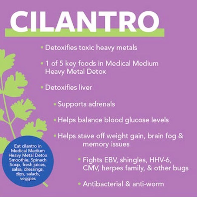 medical medium glutathione This cilantro smoothie is my new favorite ant-inflammatory drink. Here's why: 🔹 Cilantro is noted for its antifungal, antiseptic, and antibacterial properties, which make it a natural powerhouse for detoxifying the body Size:60 capsules واقي شمس تفتيح خفيف 26 Best Gut Health