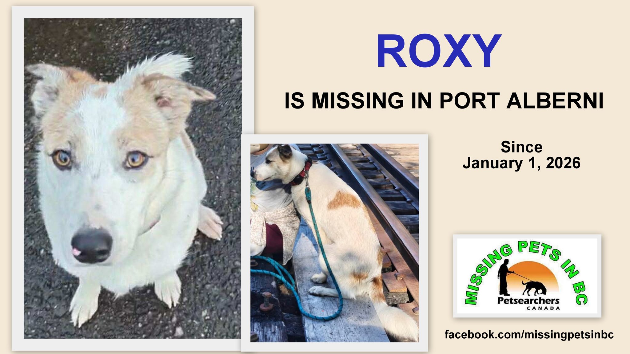 MARCH 3, 2026 ROXY IS STILL MISSING, PLEASE PLEASE KEEP SHARING THIS ...