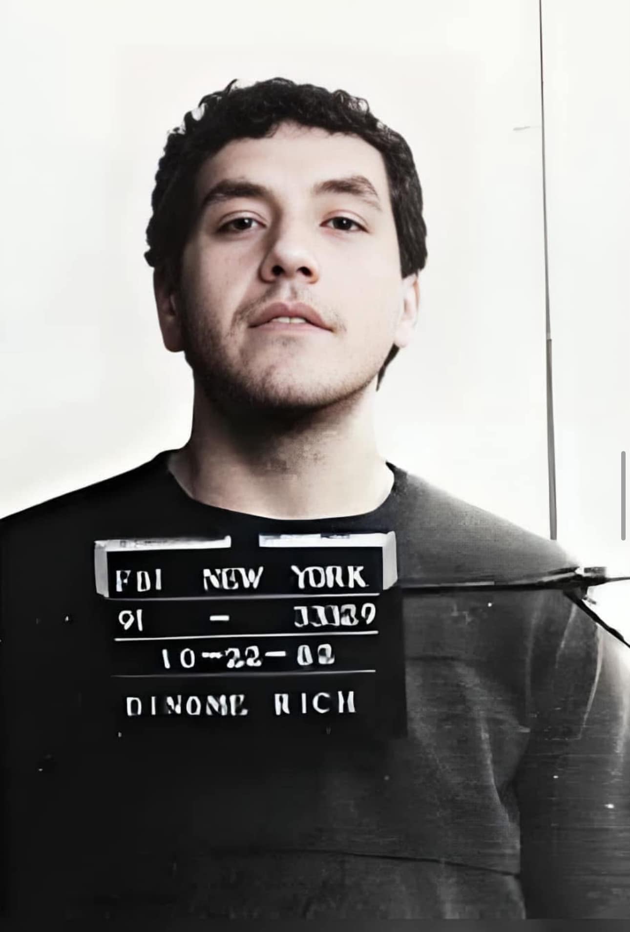 On February 4, 1984, Gambino associate & former DeMeo Crew member ...