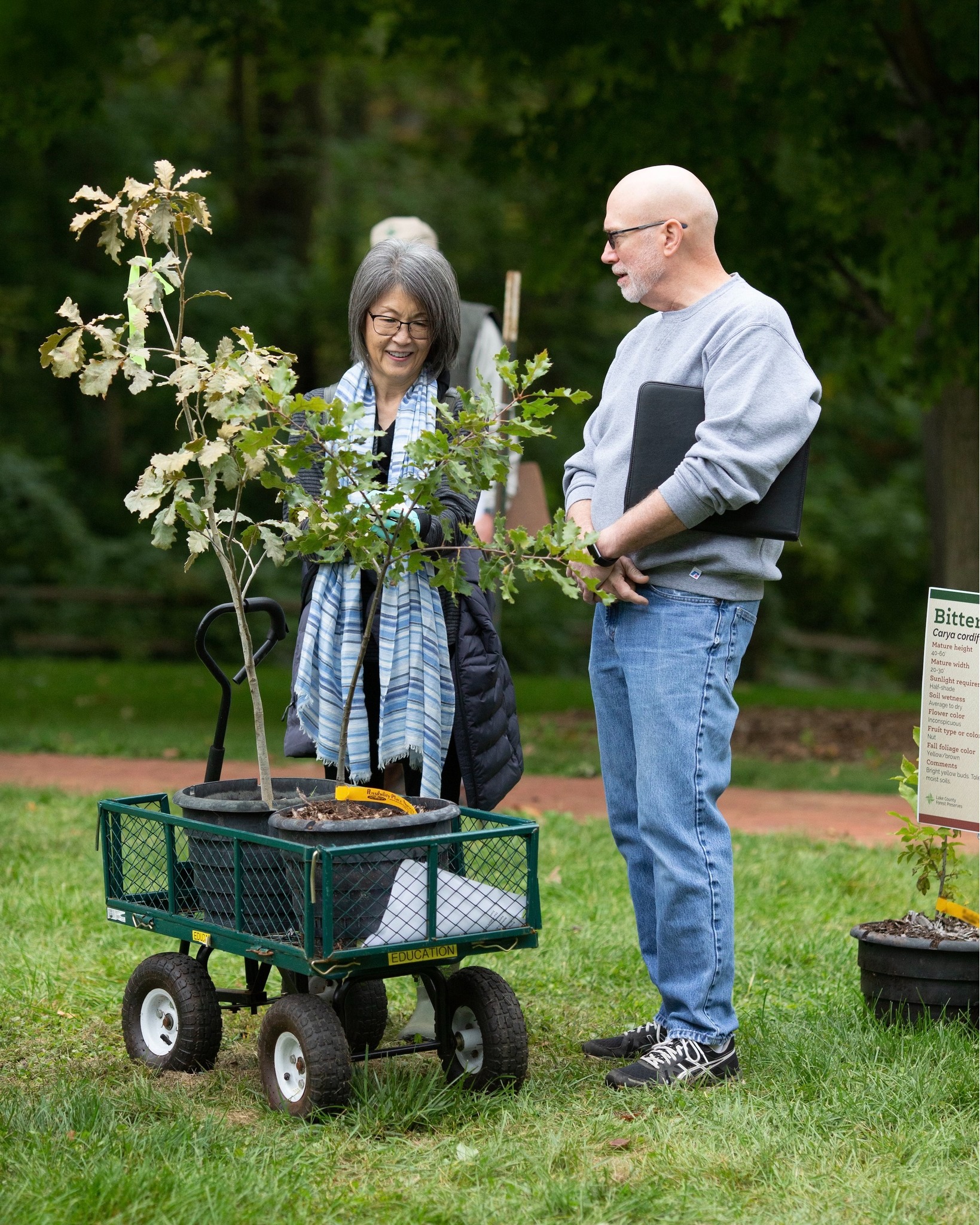 Celebrate 𝗢𝗔𝗞𝘁𝗼𝗯𝗲𝗿 with our native tree and shrub sale