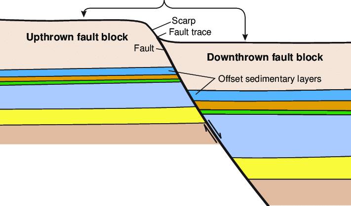 Geomark - A diagrammatic cross-section of a typical growth fault ...