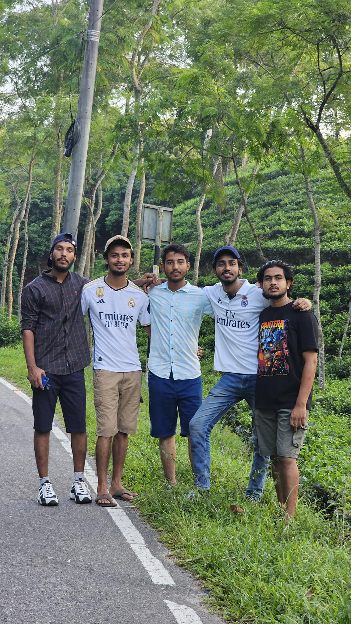 মি. পোকা