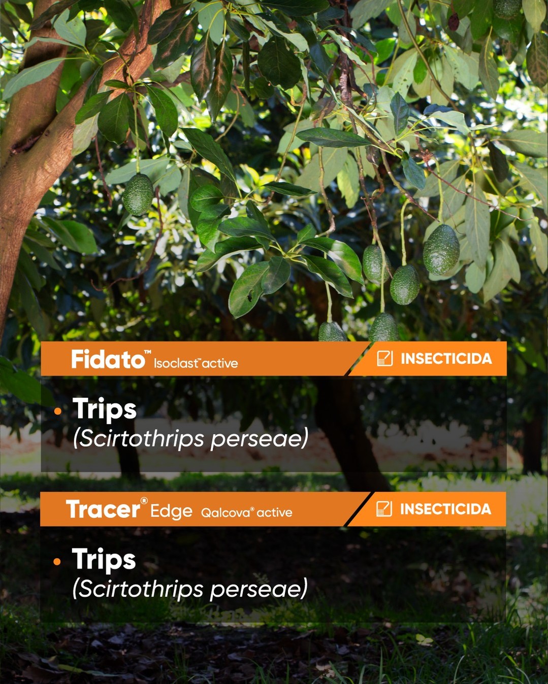 Corteva Agriscience | Tlajomulco de Zúñiga