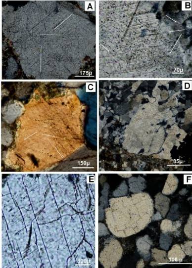 Geomark - Microphotographs showing deformation patterns in clasts ...