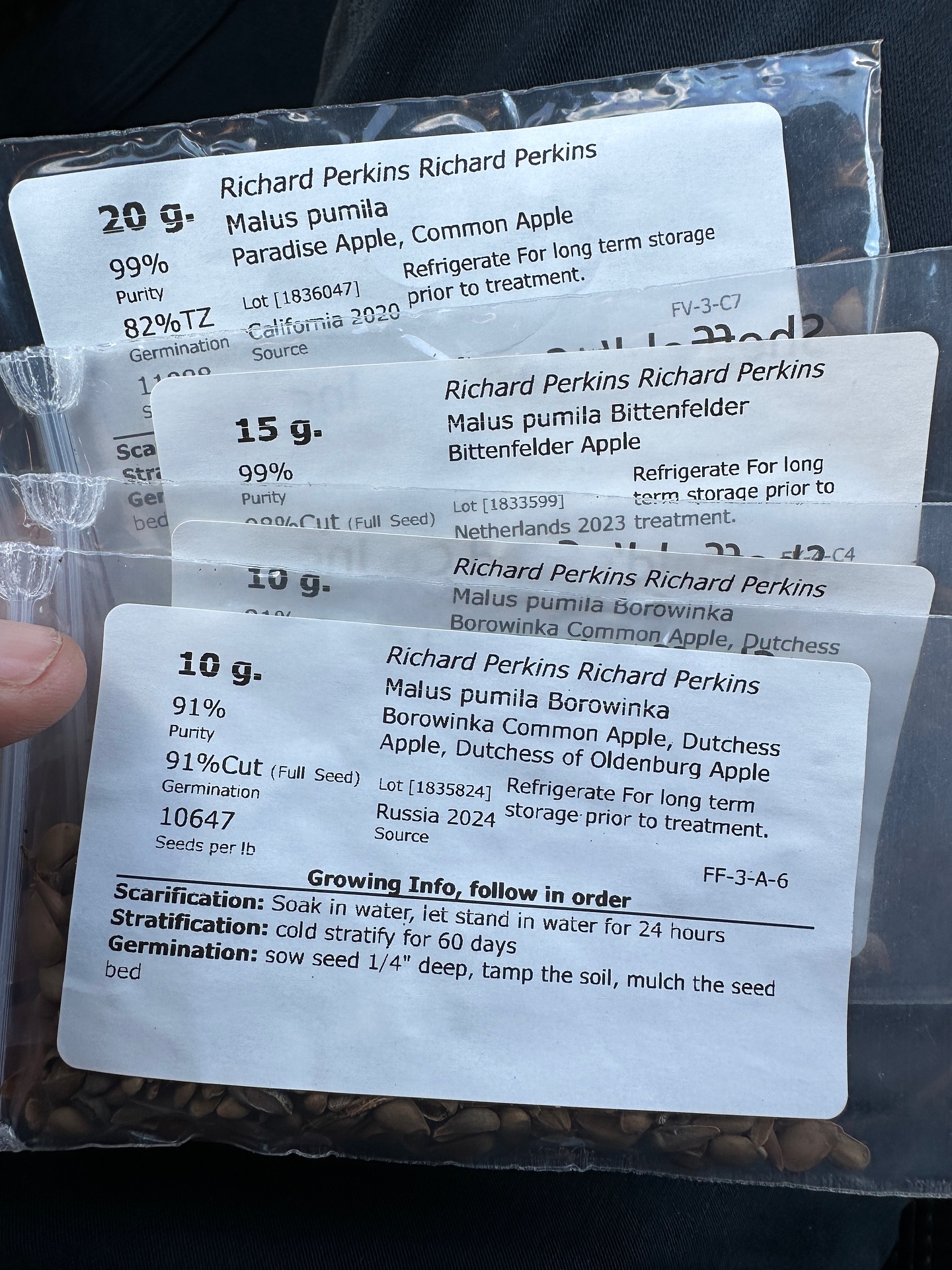 Ridgedale - About 1500 apple trees that will grow on their own roots… # ...