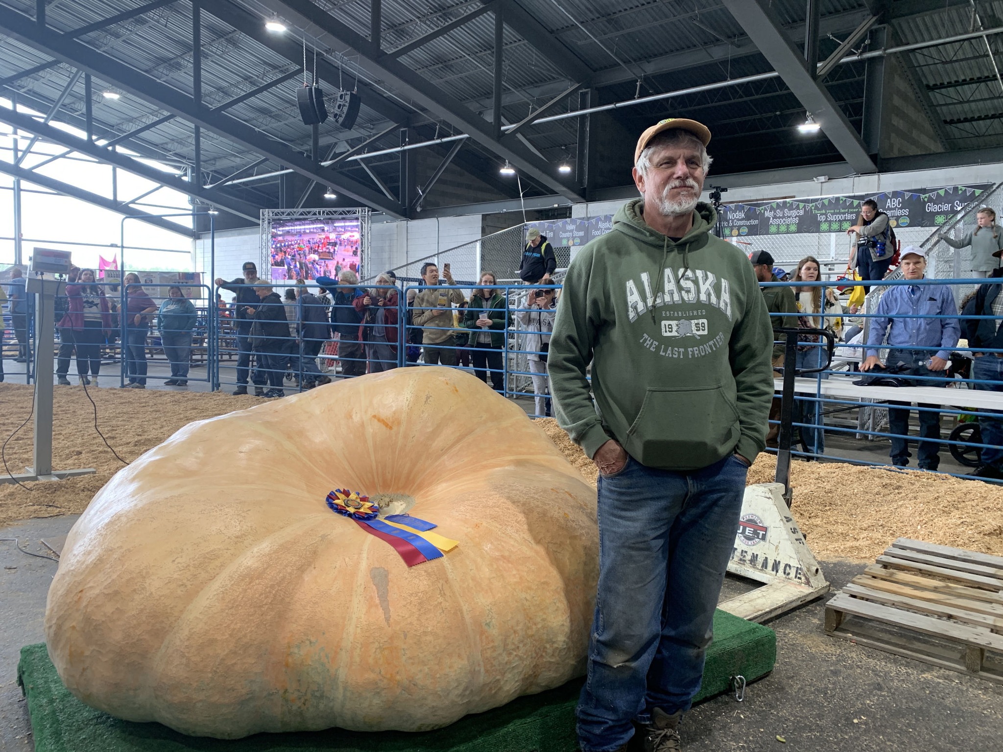 Large Mutsuhide Abo阿保六知秀作 特大36.5cm/1800g New State Record 2147.0 pound giant pumpkin with our Pumpkin