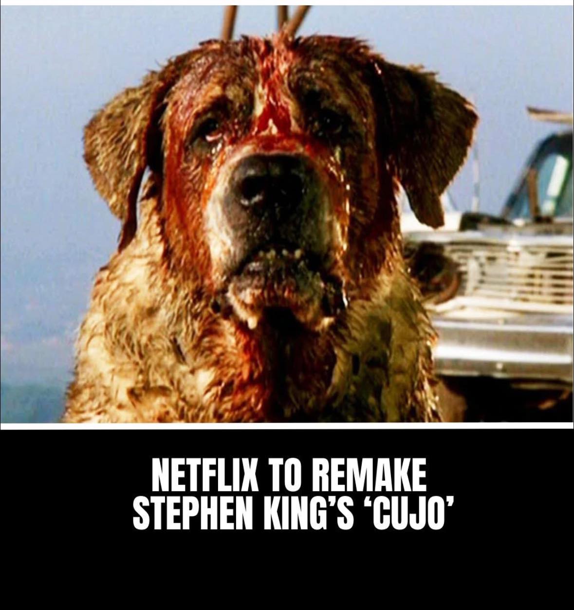 Rumbledore - 🎬 Streaming giant Netflix has confirmed a... | Facebook