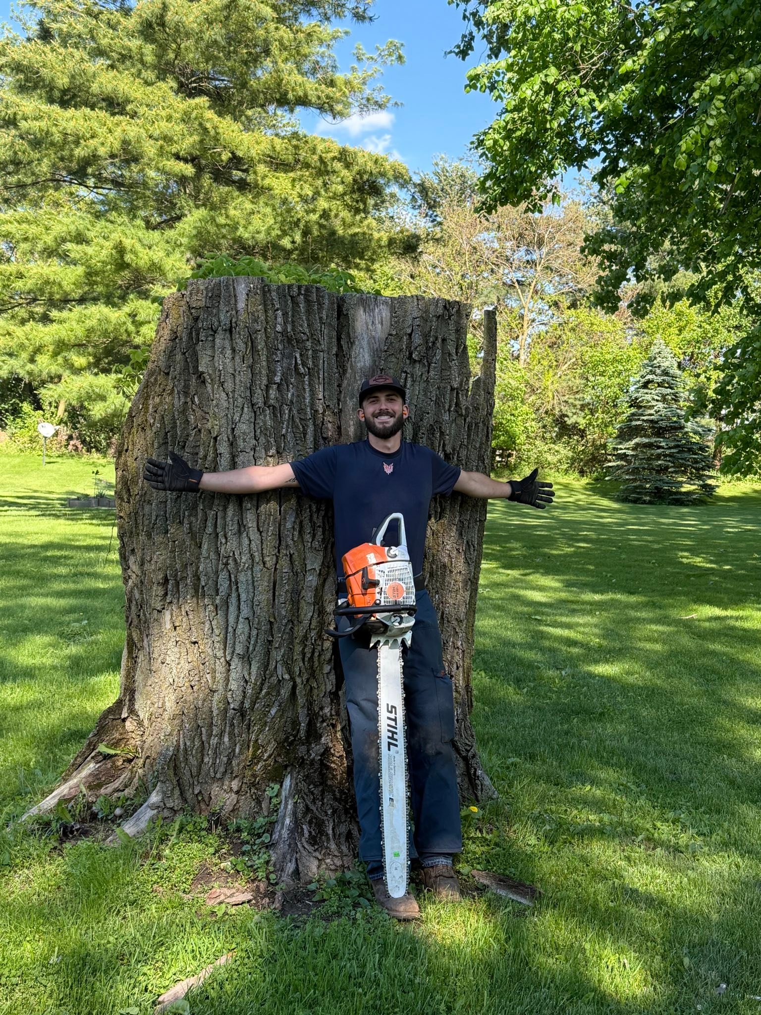 Fissel stump grinding added a new... - Fissel stump grinding