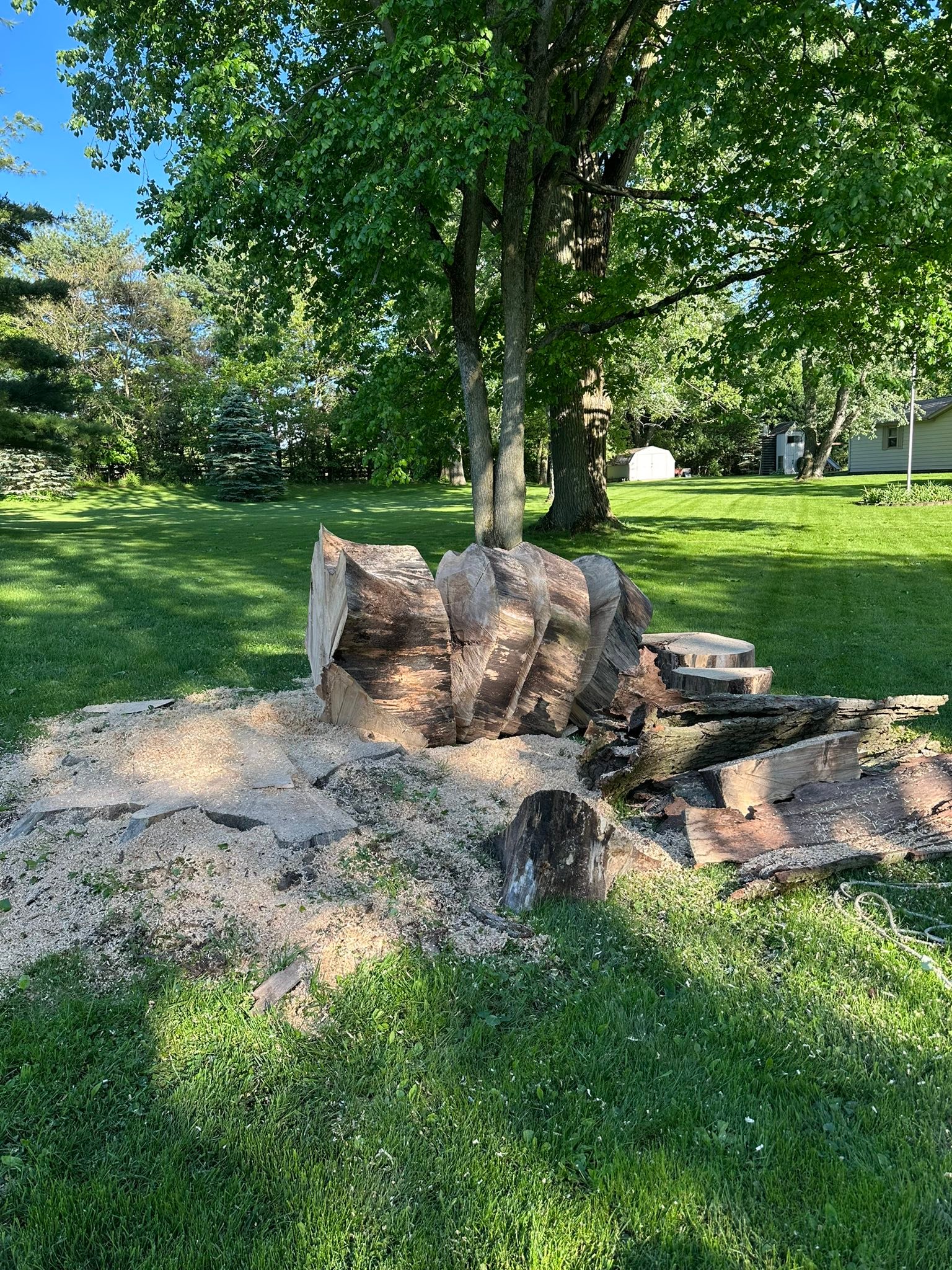 Fissel stump grinding added a new... - Fissel stump grinding