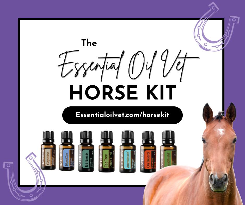 Essential - 🐴A Quick Look at the Horse Care Kit & Why Your Ponies Need ...