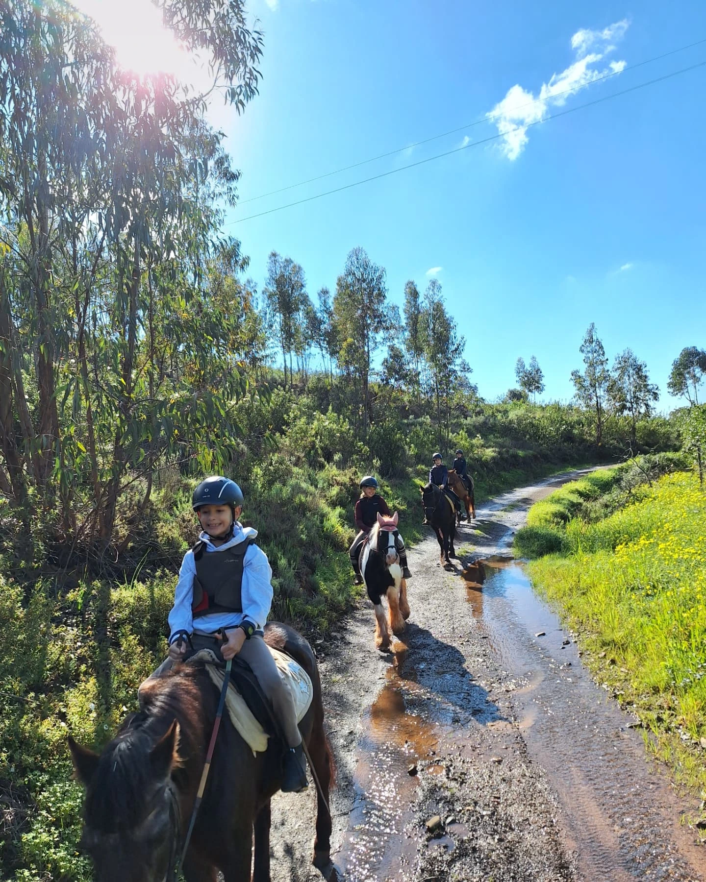 Country Riding Centre | Silves