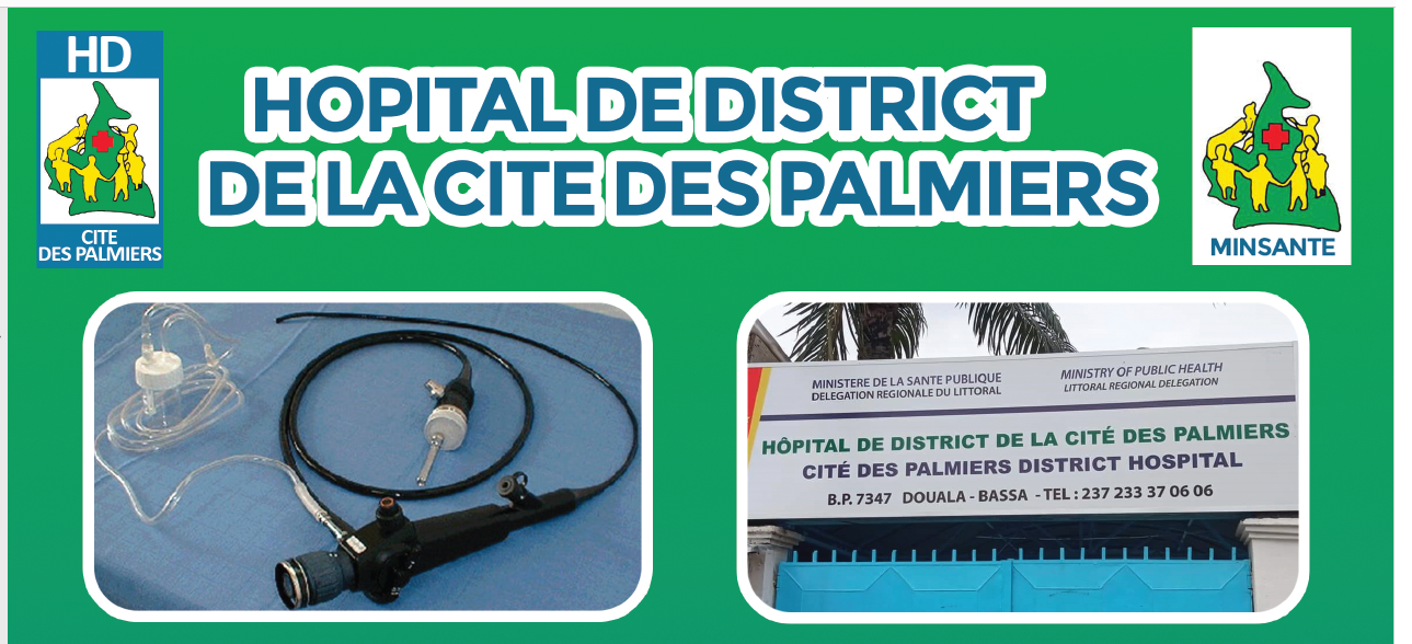 h-pital-de-district-de-la-cit-des-palmiers-douala
