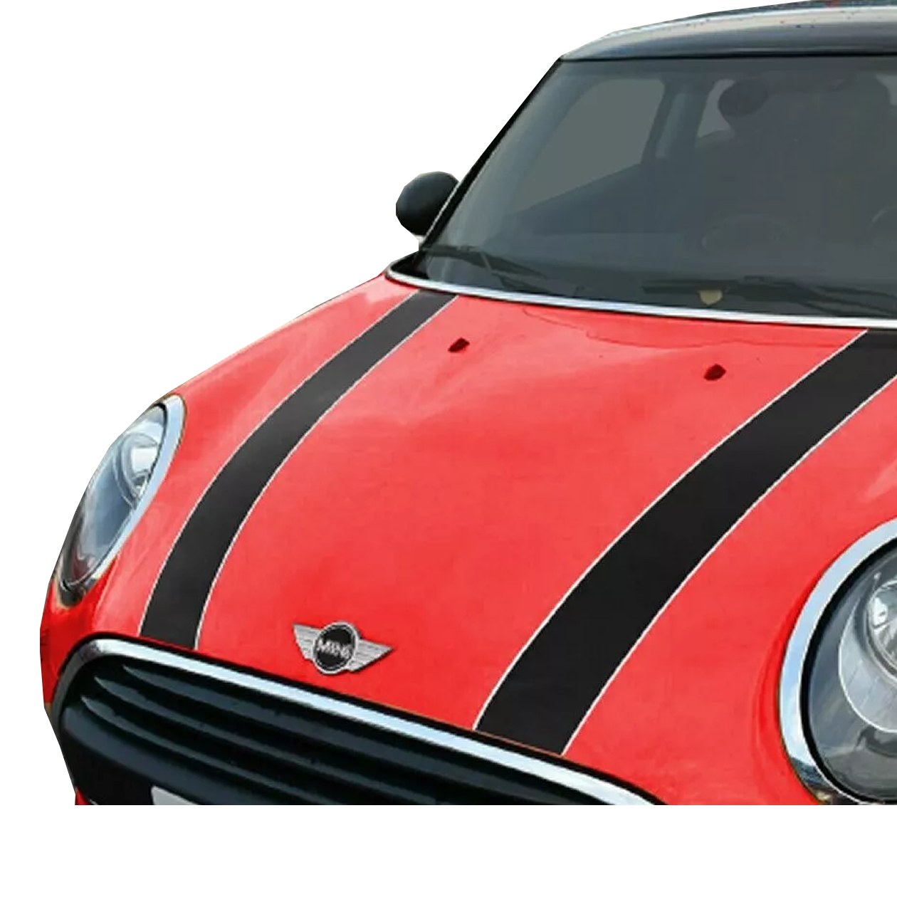 Pure Minis | Loughborough