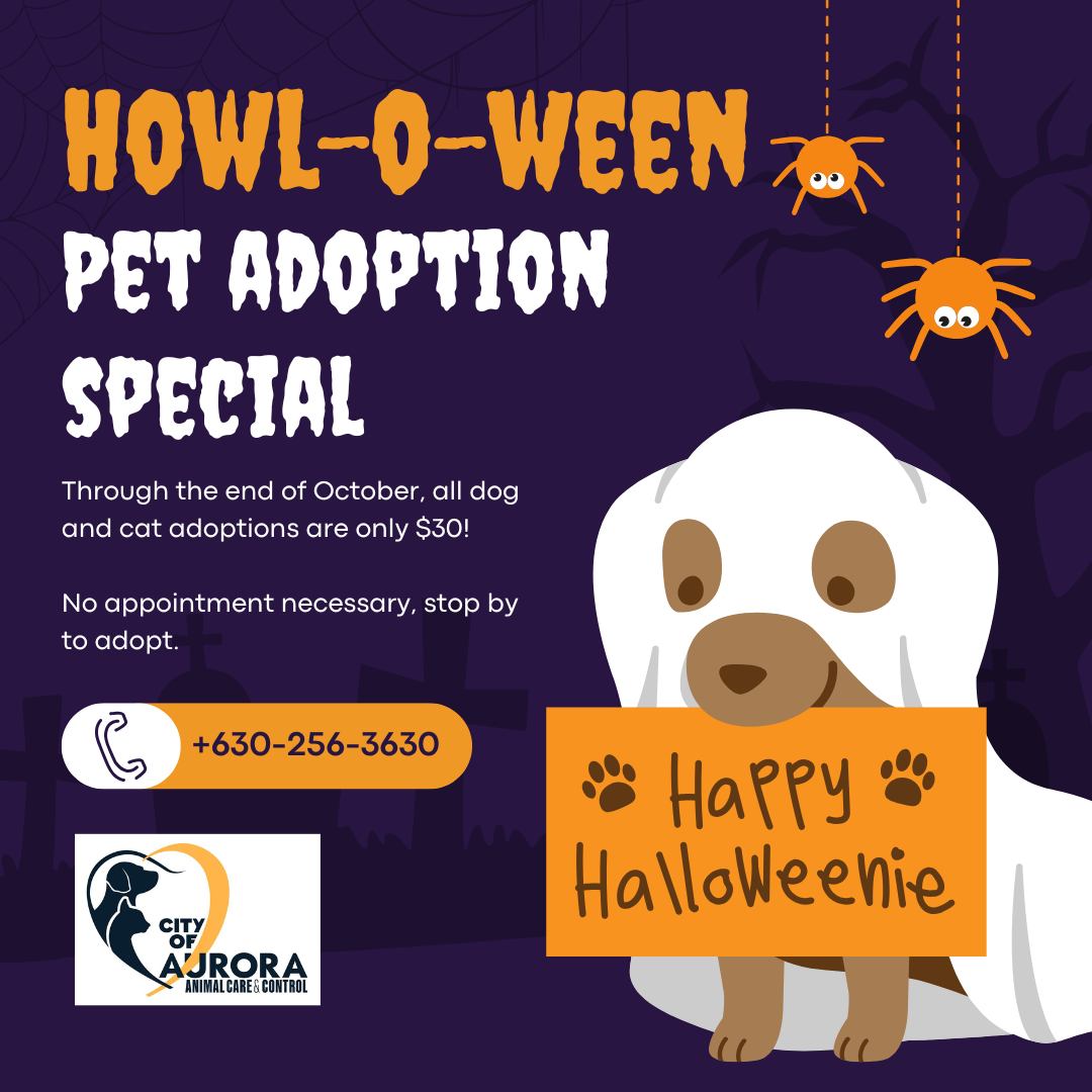 🎃🐾 Howl-o-ween... - City of Aurora IL Animal Care and Control | Facebook