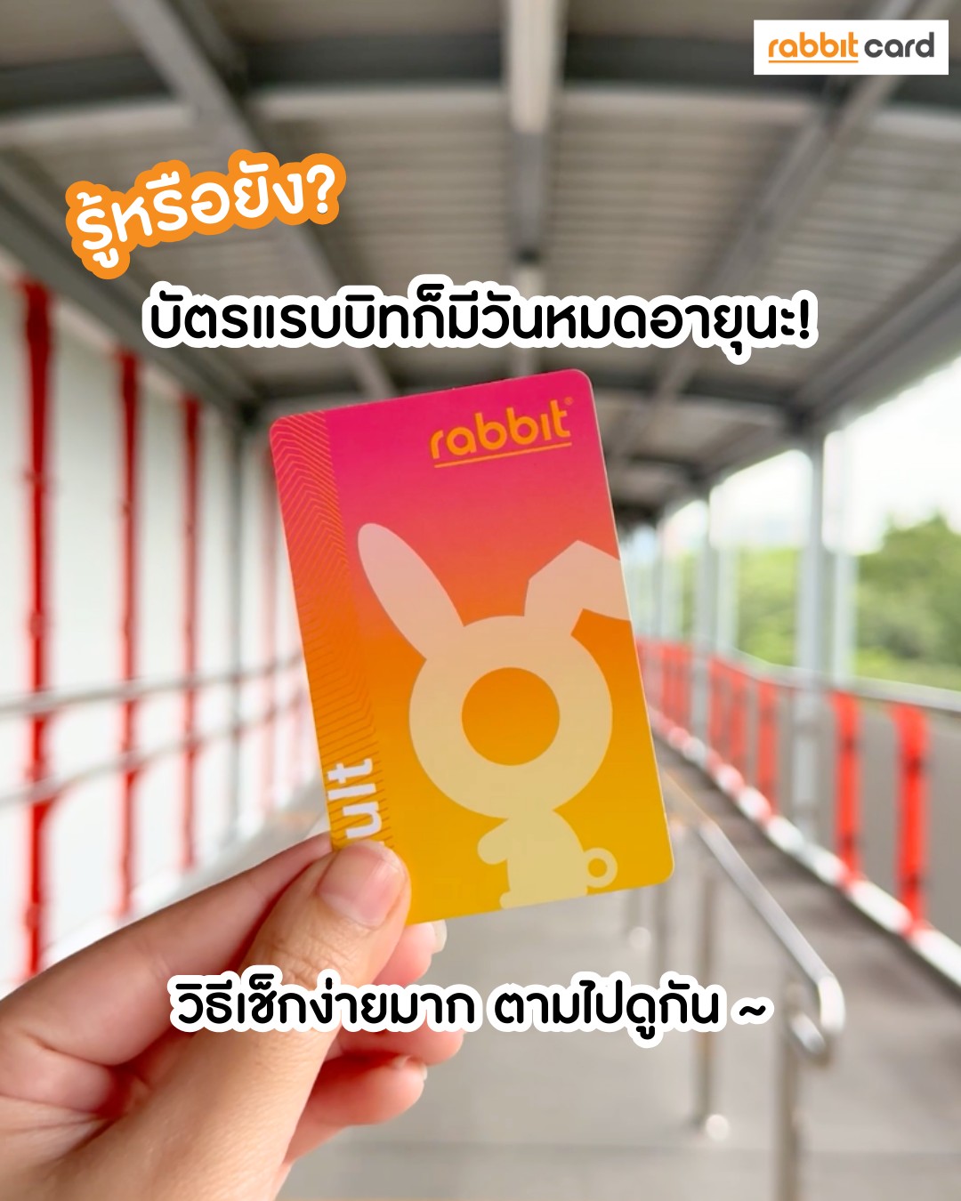 Rabbit Card