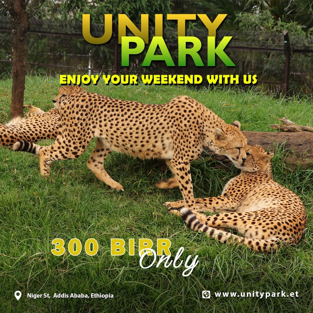 Unity - #visitunitypark #unity #park #unitypark | Facebook