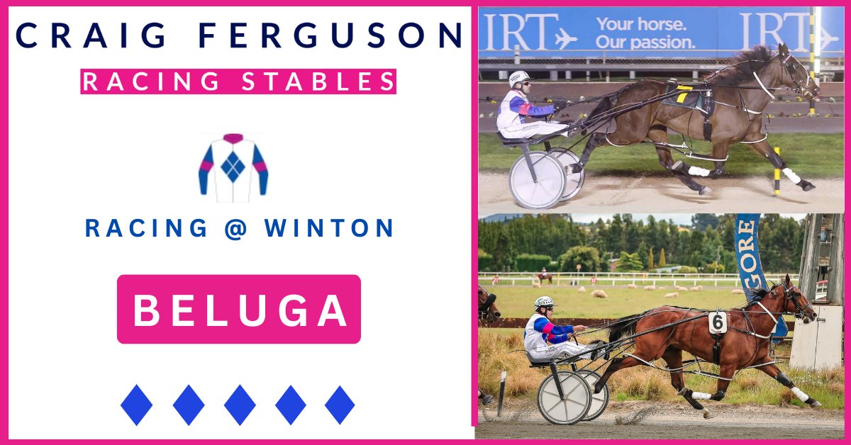 Craig Ferguson Racing Stables | Wyndham