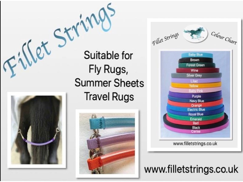 Fillet Strings | London