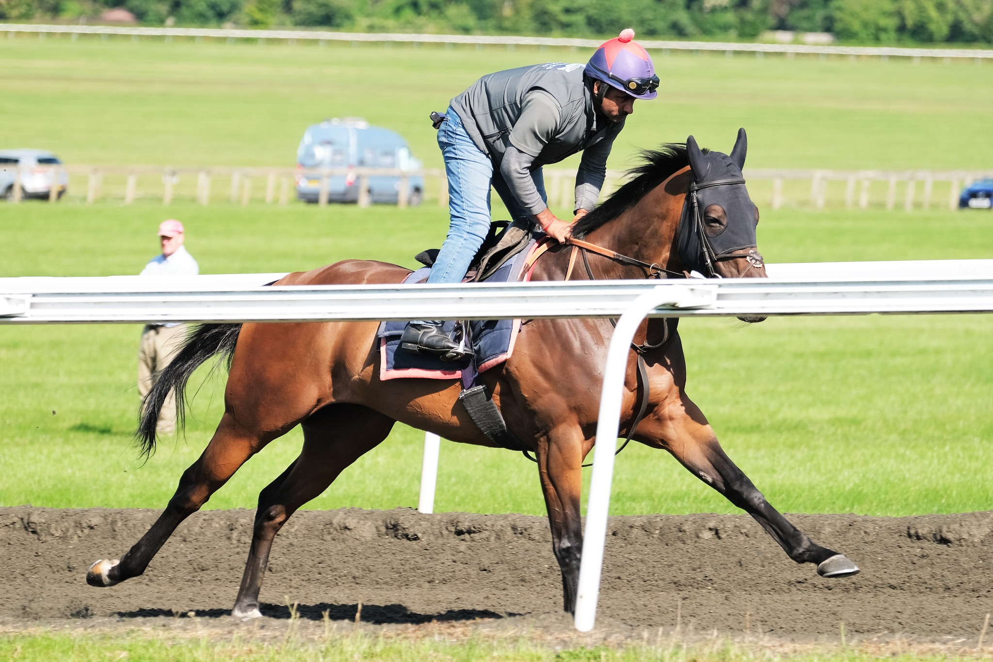 David Simcock Racing Ltd | Newmarket