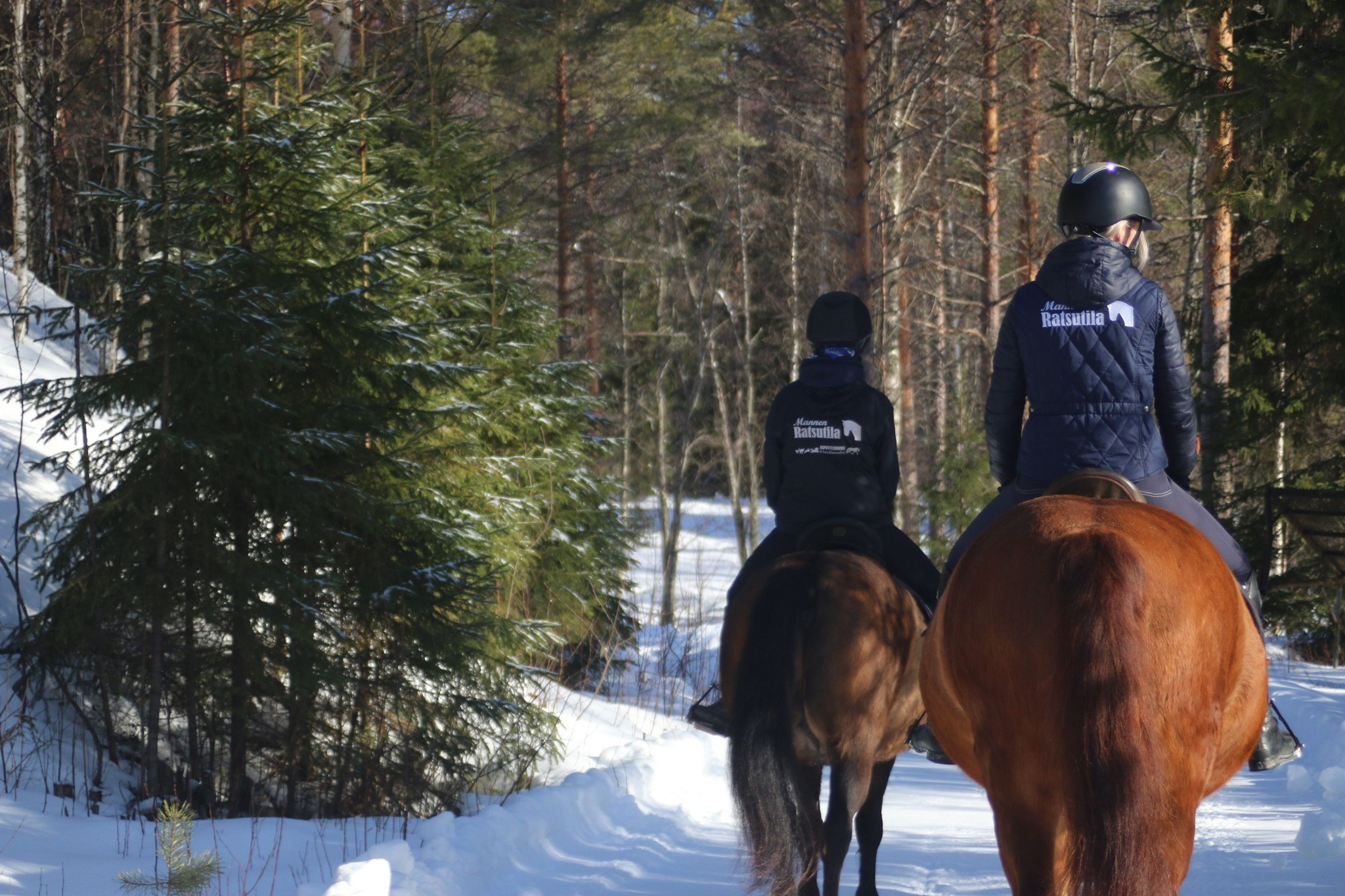 megatalli-wellaware-pets-amino-kollageeni-bcaa-on-haaraketjuisten